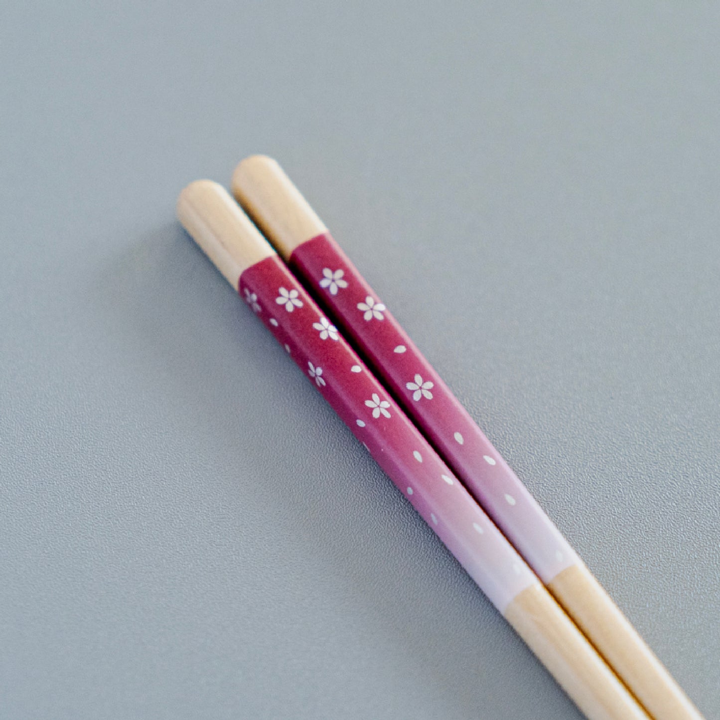 ほんとうにすべらないお箸ギフト 2膳セット エントリーモデル