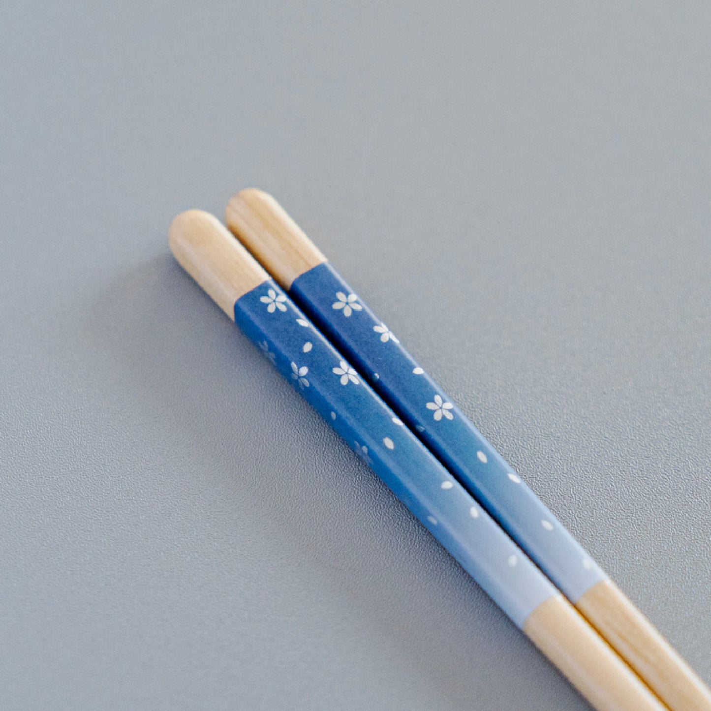 ほんとうにすべらないお箸ギフト 2膳セット エントリーモデル