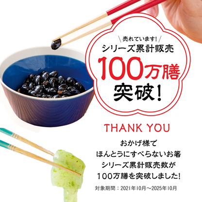 【公式オンラインストア限定】ほんとうにすべらないお箸ギフト 2膳セット エントリーモデル