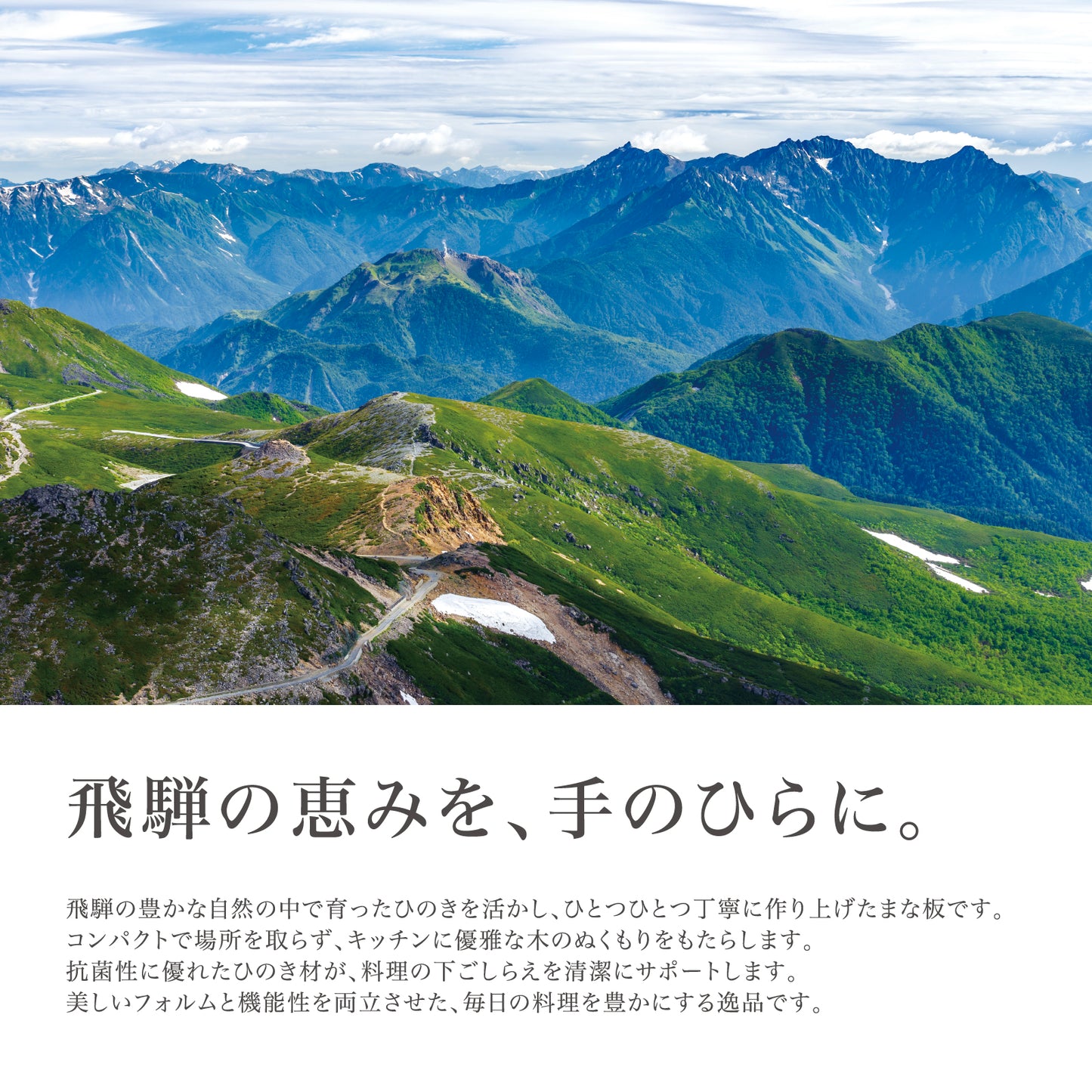 HIDANOKI｜ 立つまるいまな板 M