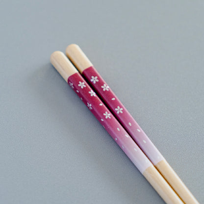 ほんとうにすべらないお箸ギフト 2膳セット エントリーモデル