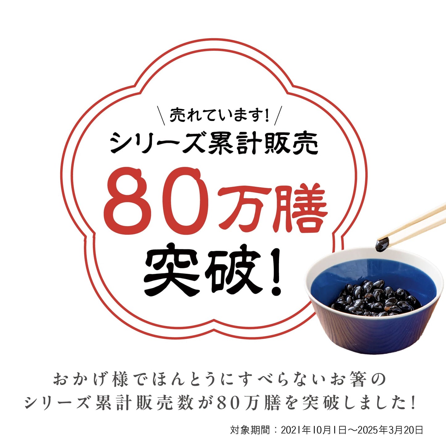 ほんとうにすべらないお箸 プレミアムモデル