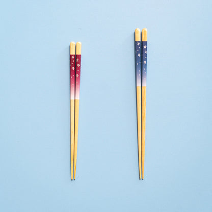 ほんとうにすべらないお箸ギフト 2膳セット エントリーモデル