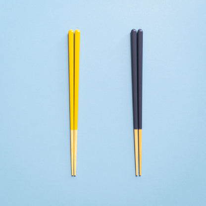 ほんとうにすべらないお箸ギフト 2膳セット スタンダードモデル