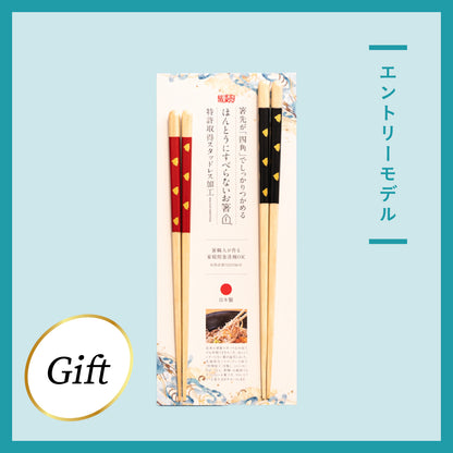 ほんとうにすべらないお箸ギフト 2膳セット エントリーモデル