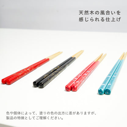 ほんとうにすべらないお箸 プレミアムモデル