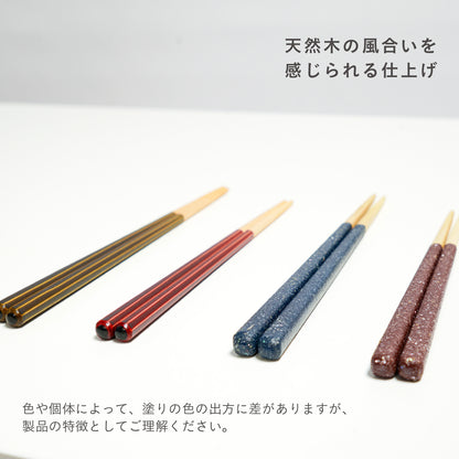 ほんとうにすべらないお箸 プレミアムモデル