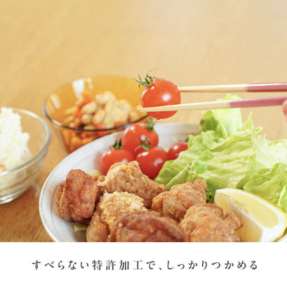 ほんとうにすべらないお箸 プレミアムモデル