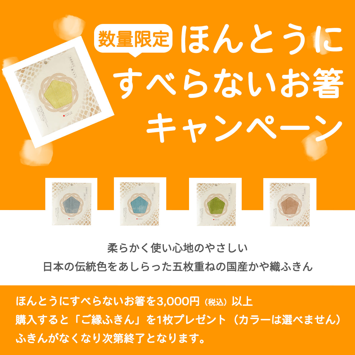 ほんとうにすべらないお箸 スタンダードモデル