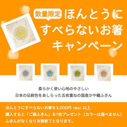 ほんとうにすべらないお箸 スタンダードモデル